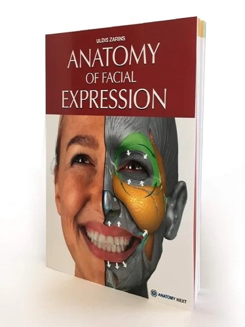 Anatomy Of Facial Expression