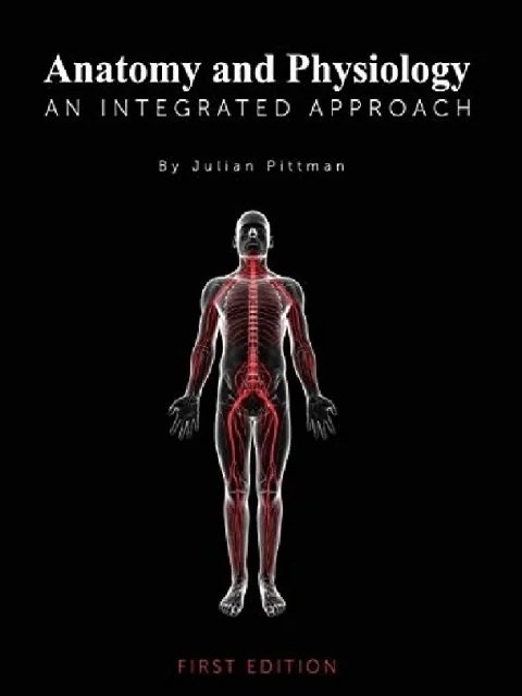 Anatomy And Physiology An Integrated Approach