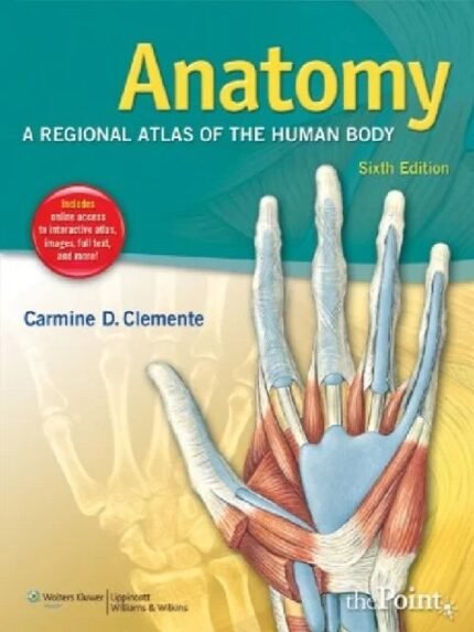 Anatomy A Regional Atlas of the Human Body 6th Ed