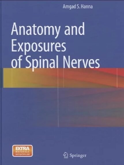 Anatomy and Exposures of Spinal Nerves