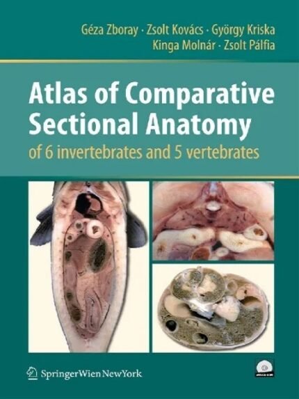 Atlas Of Comparative Sectional Anatomy Of 6 Invertebrates And 5 Vertebrates