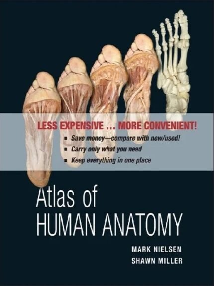 Atlas of Human Anatomy 1st Edition