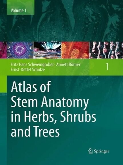 Atlas of Stem Anatomy in Herbs Shrubs and Trees Vol 1