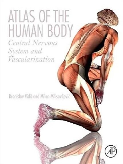 Atlas of the Human Body Central Nervous System and Vascularization 1st Edition