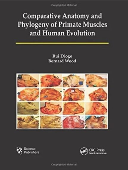 Comparative Anatomy and Phylogeny of Primate Muscles and Human Evolution 1st Edition
