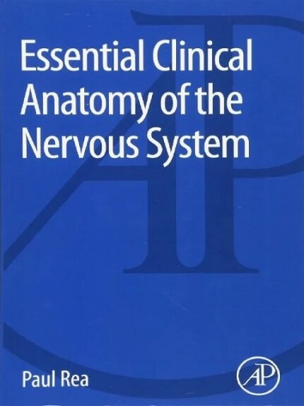 Essential Clinical Anatomy of the Nervous System 1st Edition