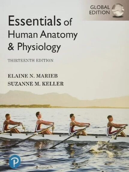 Essentials of Human Anatomy & Physiology 13th Edition