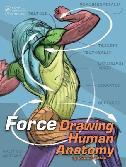 FORCE Drawing Human Anatomy (Force Drawing Series) 1st Edition