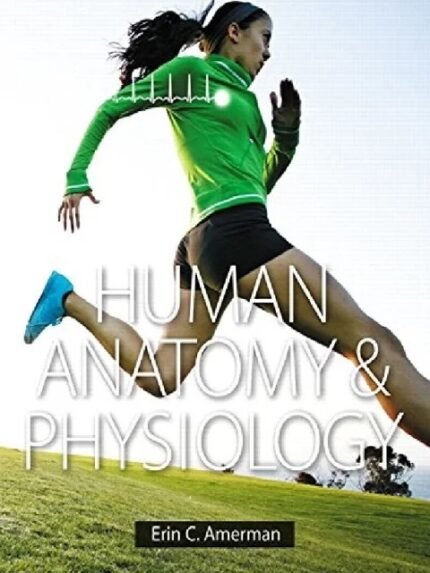 Human Anatomy & Physiology 1st Edition