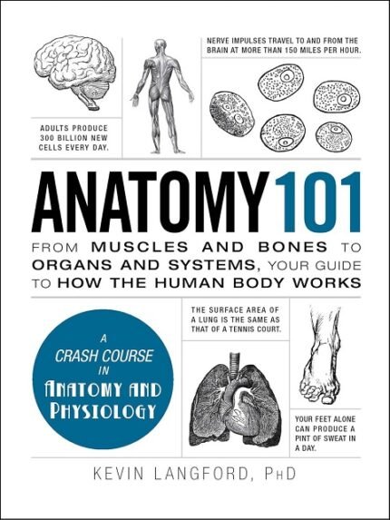Anatomy 101 From Muscles and Bones to Organs and Systems, Your Guide to How the Human Body Works