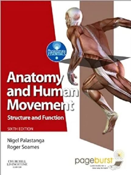 Anatomy and Human Movement Structure 6th edition