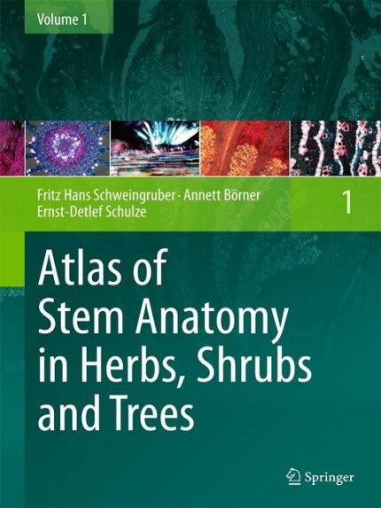 Atlas of Stem Anatomy in Herbs, Shrubs and Trees Volume 1