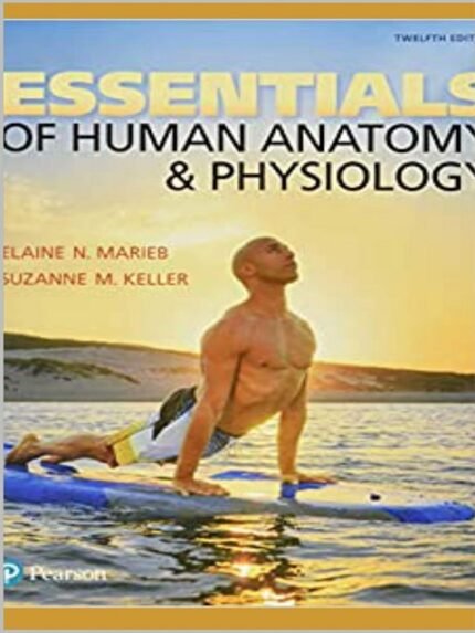 Essentials of Human Anatomy and Physiology
