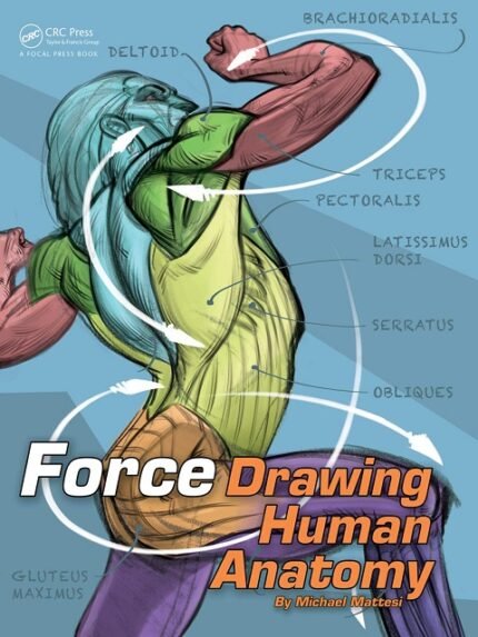 FORCE Drawing Human Anatomy (Force Drawing Series)