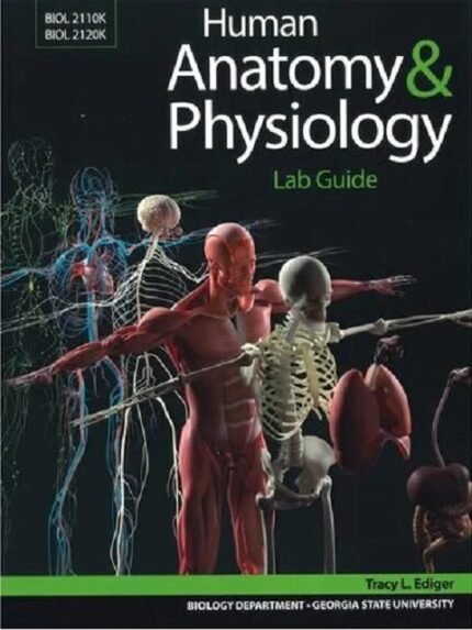 Human Anatomy & Physiology
