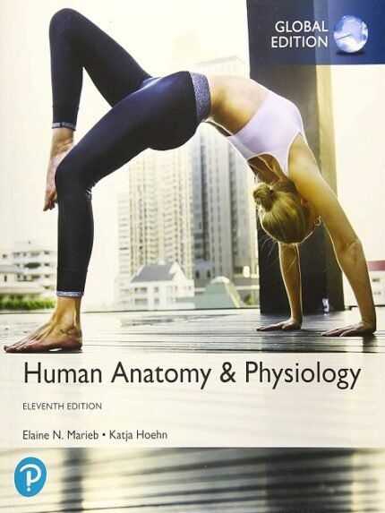 Human Anatomy & Physiology 11th Latest Edition Elaine N. Marieb