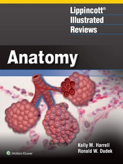 Lippincott® Illustrated Reviews Anatomy (Lippincott Illustrated Reviews Series)