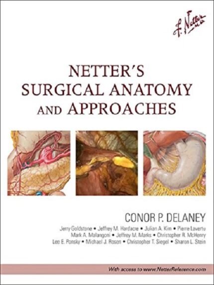 Netter's Surgical Anatomy and Approaches (Netter Clinical Science)