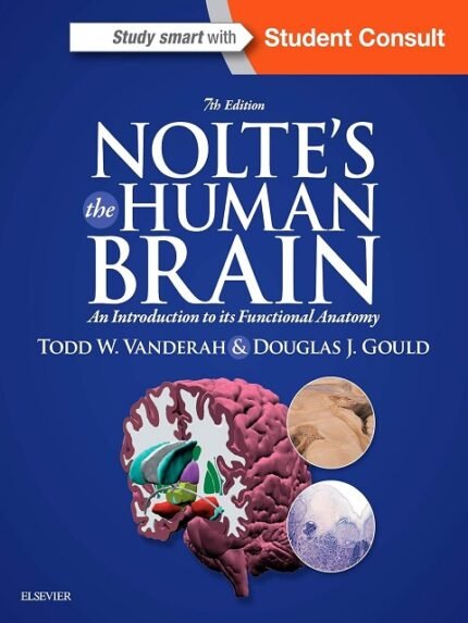 Nolte's The Human Brain An Introduction to its Functional Anatomy