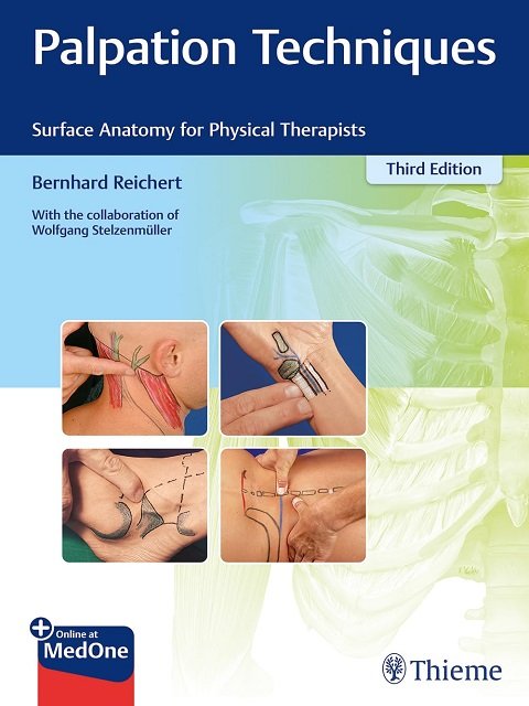 Palpation Techniques Surface Anatomy for Physical Therapists