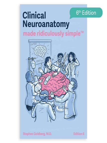 Clinical Neuroanatomy Made Ridiculously Simple Color Edition