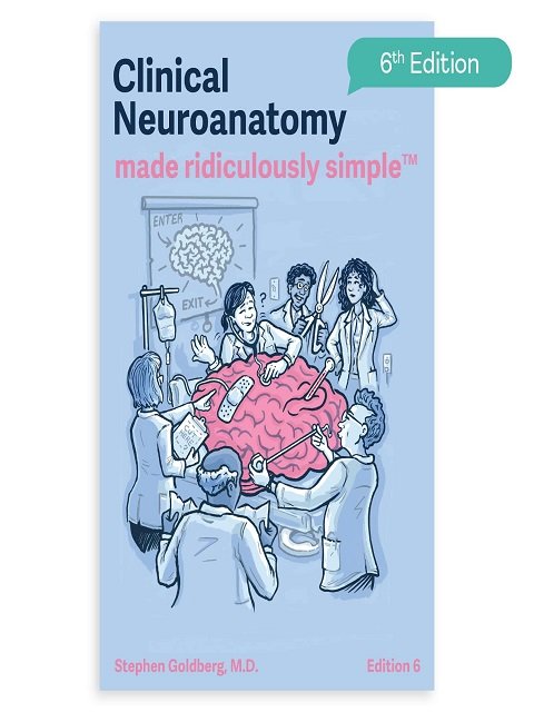 Clinical Neuroanatomy Made Ridiculously Simple Color Edition Clinical Neuroanatomy Made Ridiculously Simple Color Edition