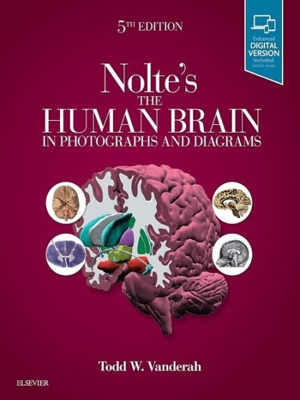 Nolte's The Human Brain in Photographs and Diagrams 5th Edition